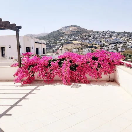 Seaview Luxury Lejlighed *